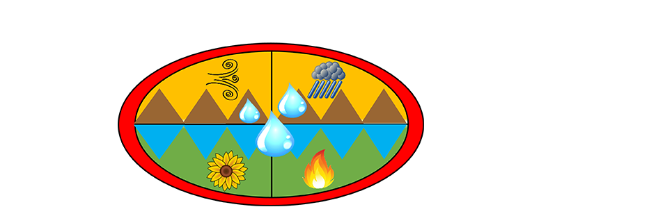 Logo for the TNTCX Logo for the TNTCX